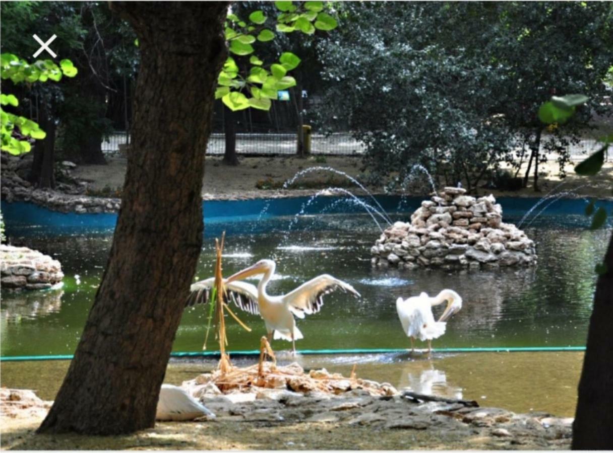 The View Apartment Varna Bagian luar foto